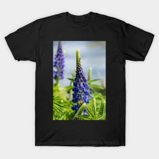 Two purple lupin flowers. T-Shirt